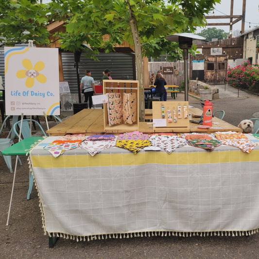 Creating a Sustainable Small Business
