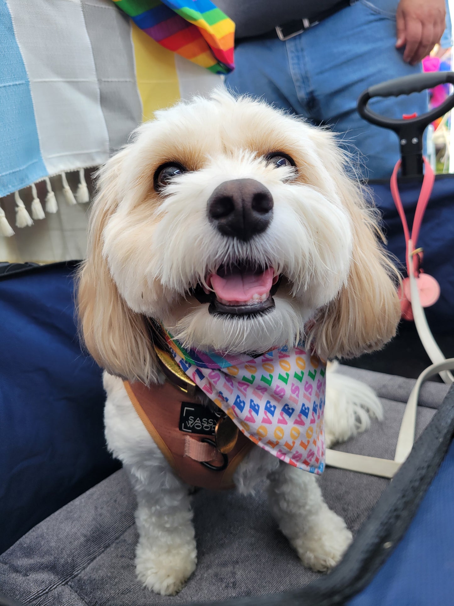 Love is Love bandana