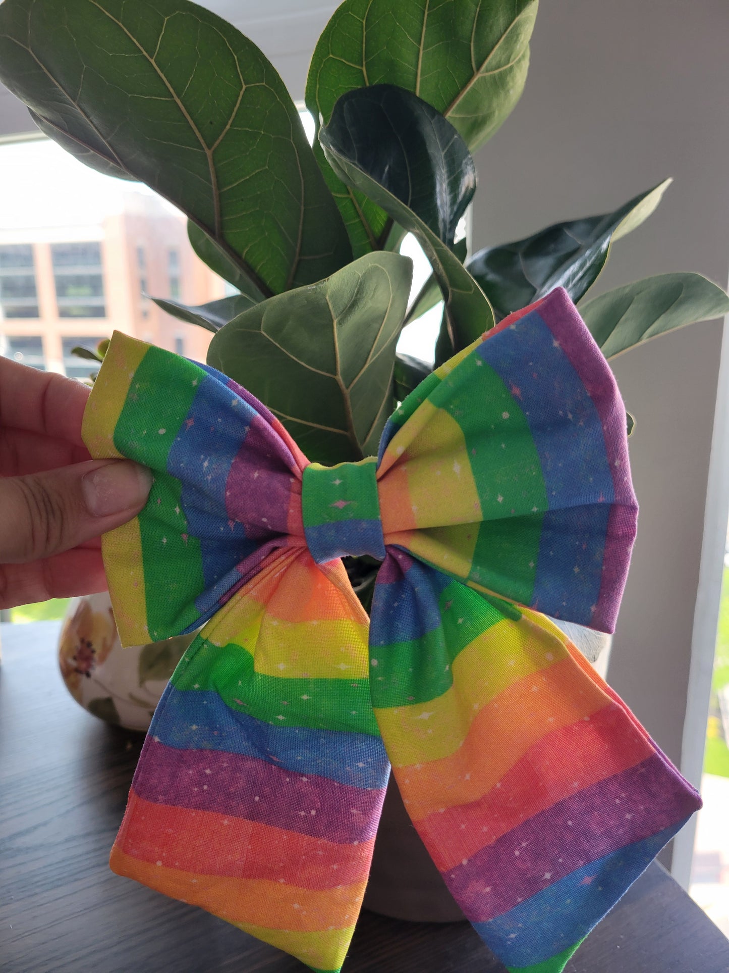 Pride over the collar bow