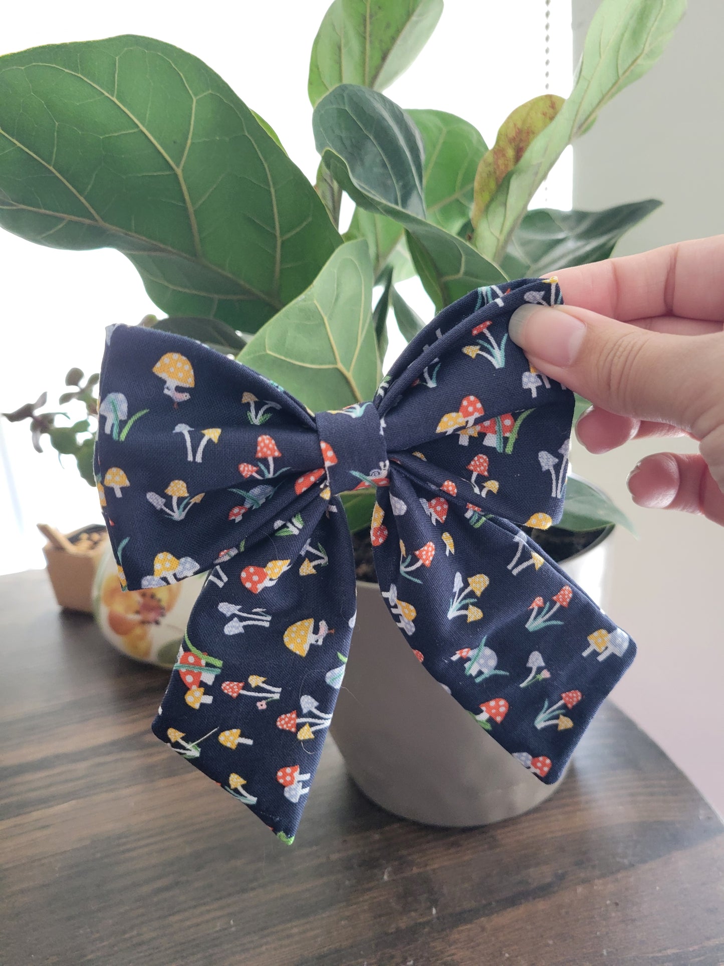 Enchanted over the collar bow