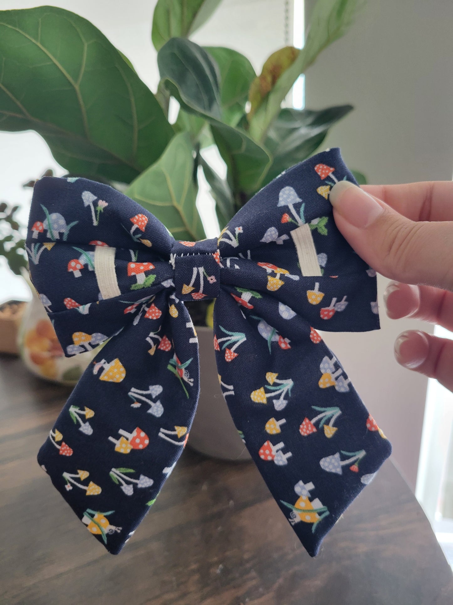 Enchanted over the collar bow