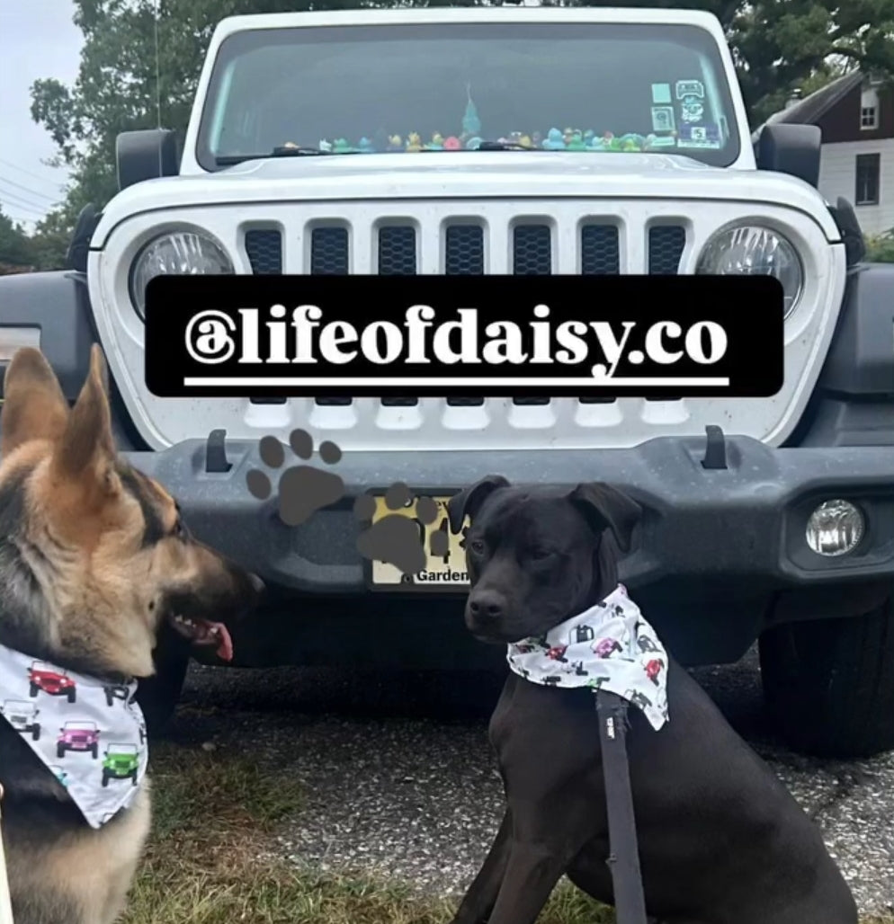 Off road bandana