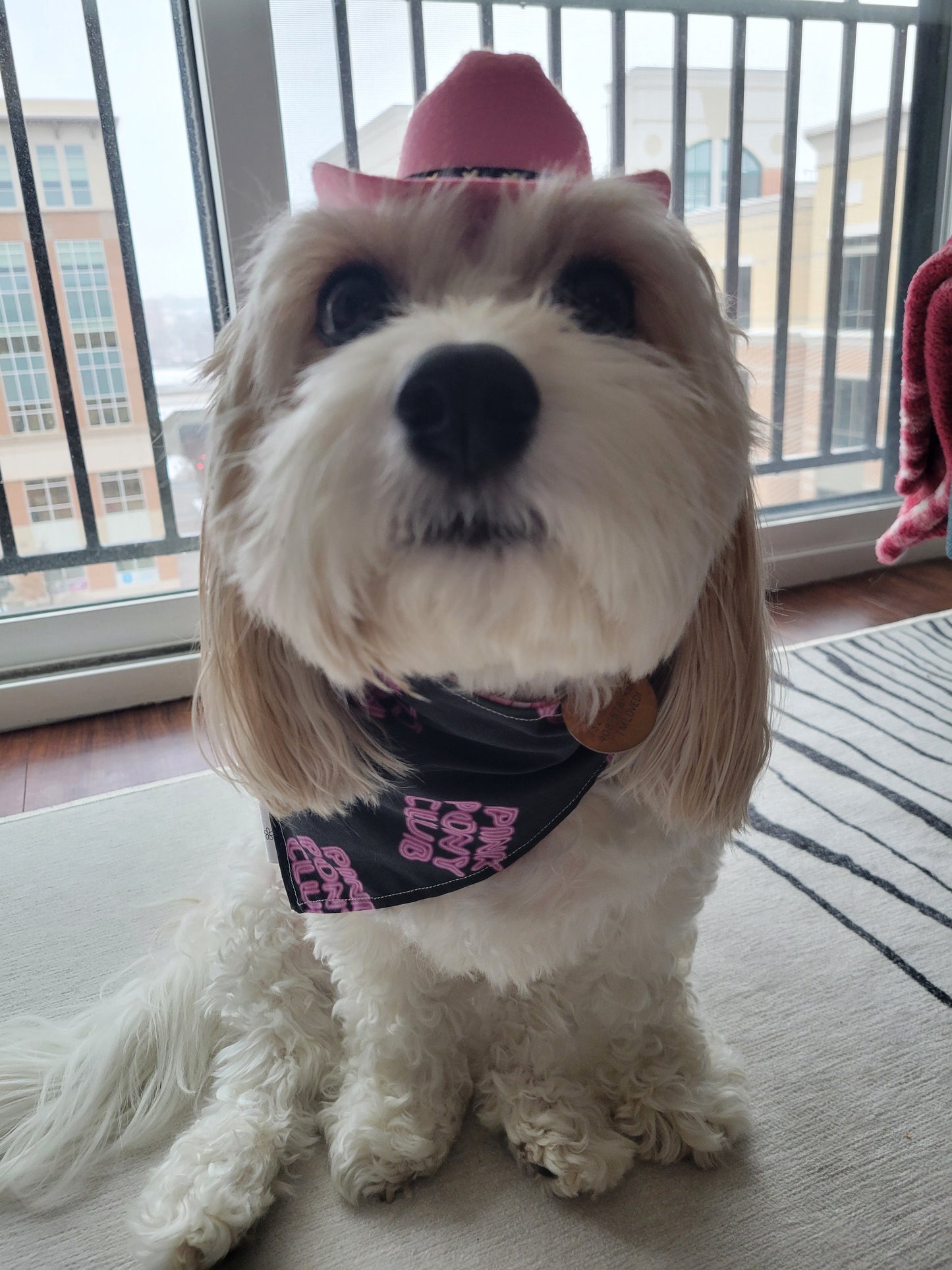 Pink Pony Girl bandana
