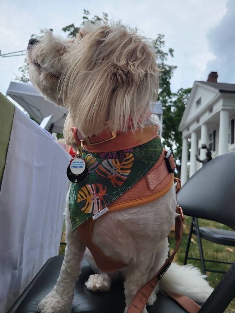 Miami Palm Leaf bandana