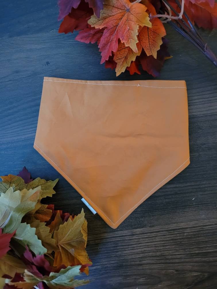 Football Season dog bandana