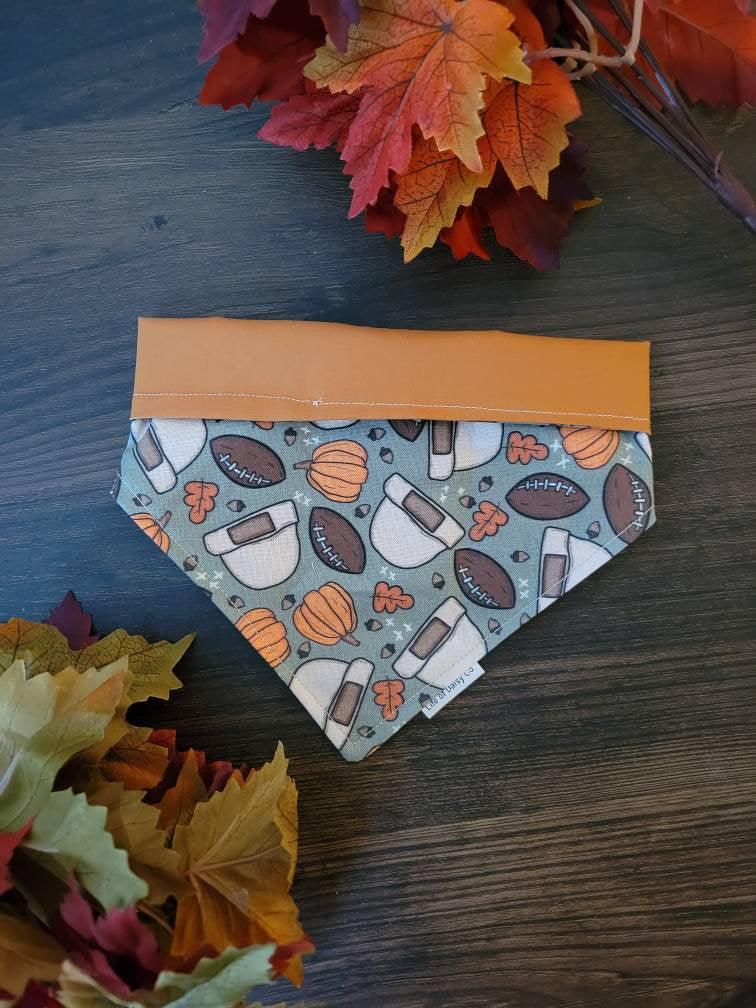 Football Season dog bandana
