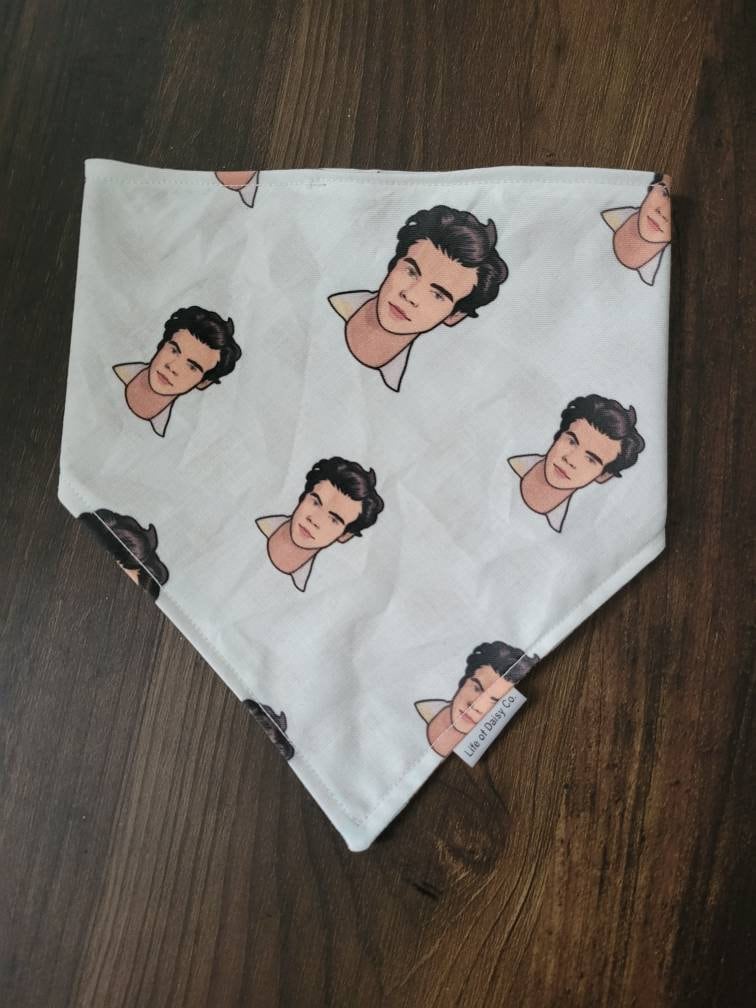 Harry bandana