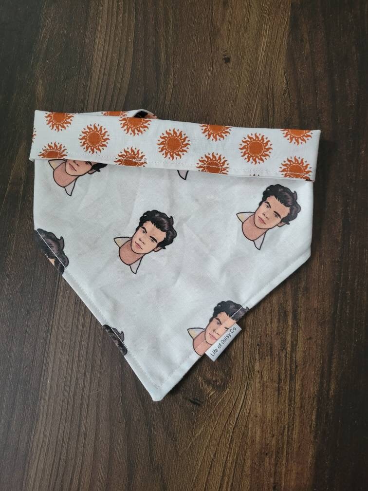 Harry bandana