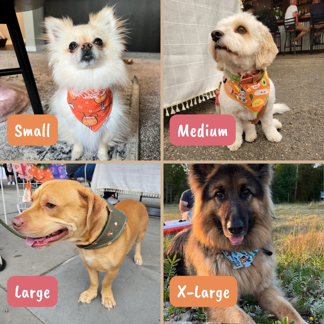 Beer n' Snacks bandana