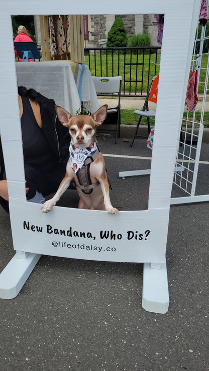 Benito bandana