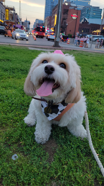 Disco Cowgirl bandana