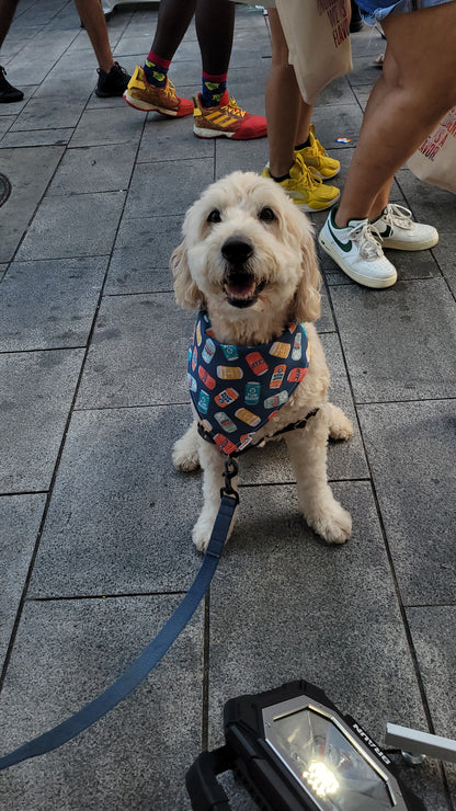 Beer n' Snacks bandana