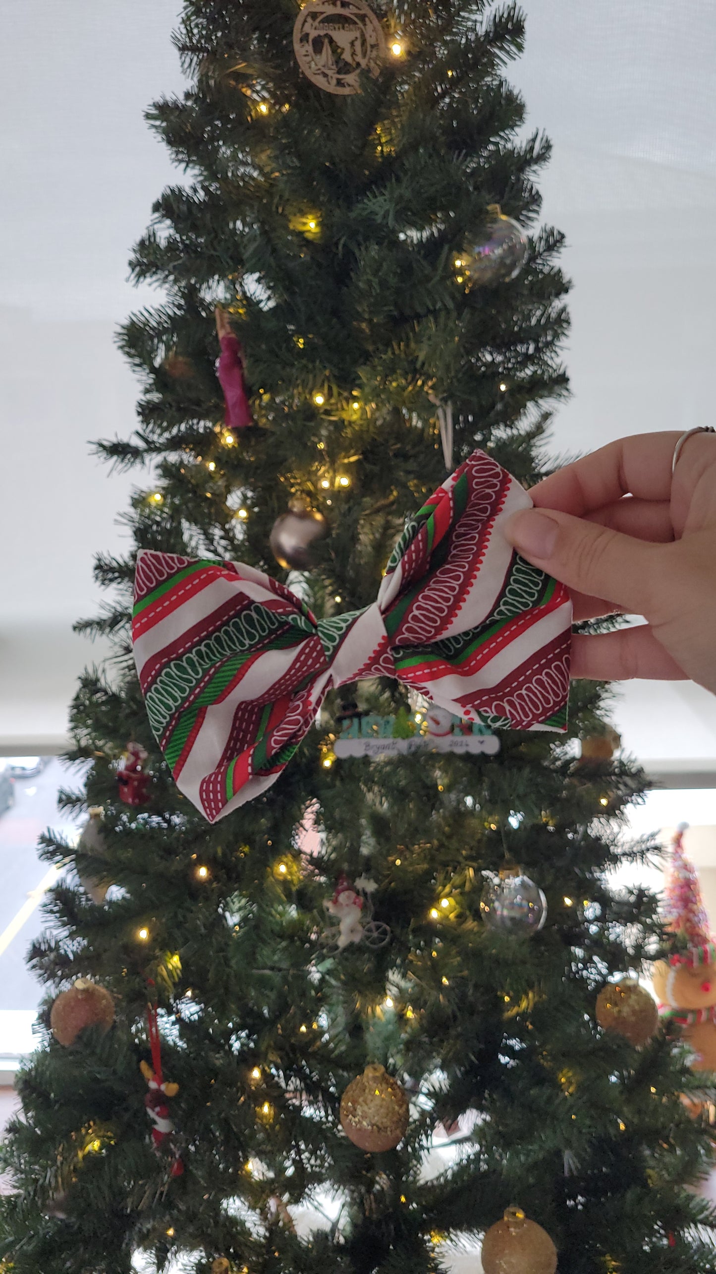 Candy Stripe over the collar bow