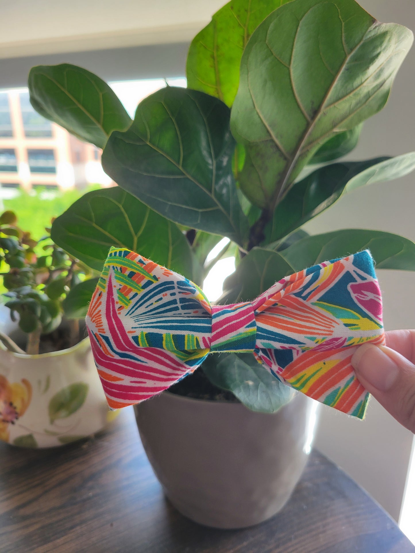 All Inclusive over the collar bow