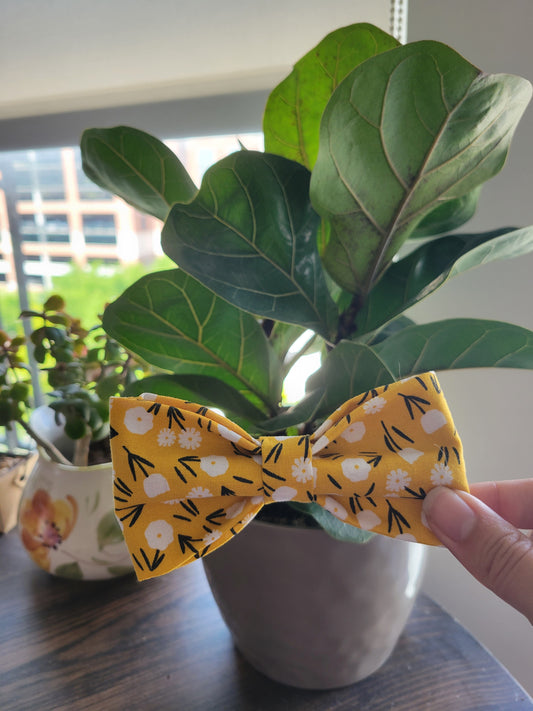 Penelope over the collar bow