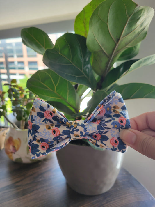 Daphne over the collar bow