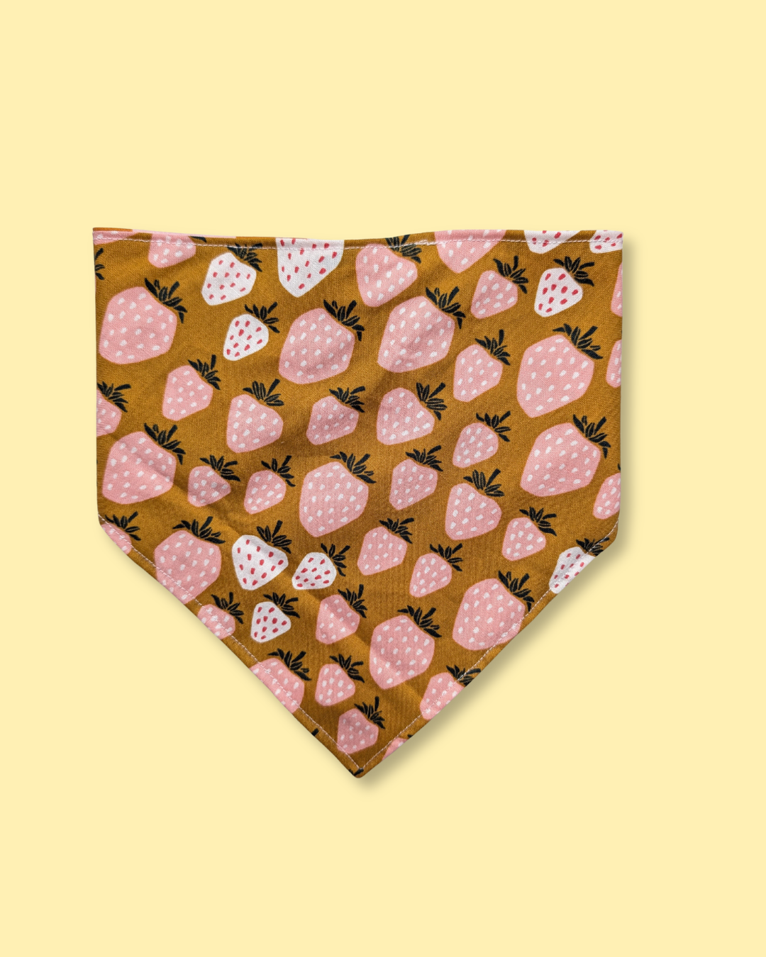 Sugar Pie, Honey Bear bandana