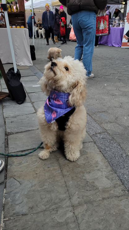Flamingo bandana