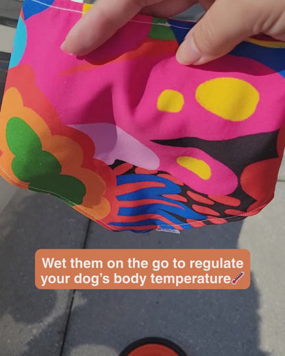 Cooling bandanas