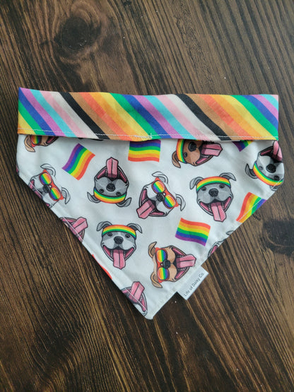 Pride Bulls bandana