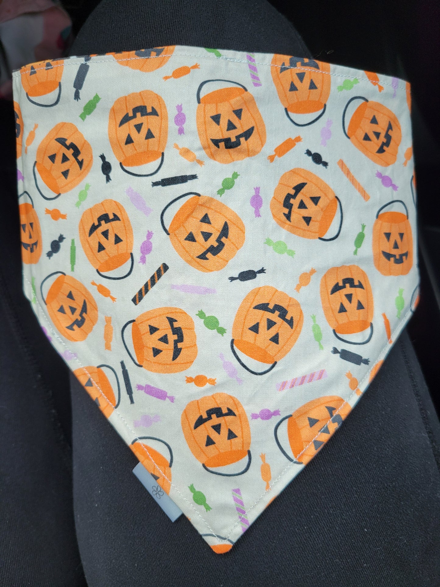 Tricks for Treats bandana