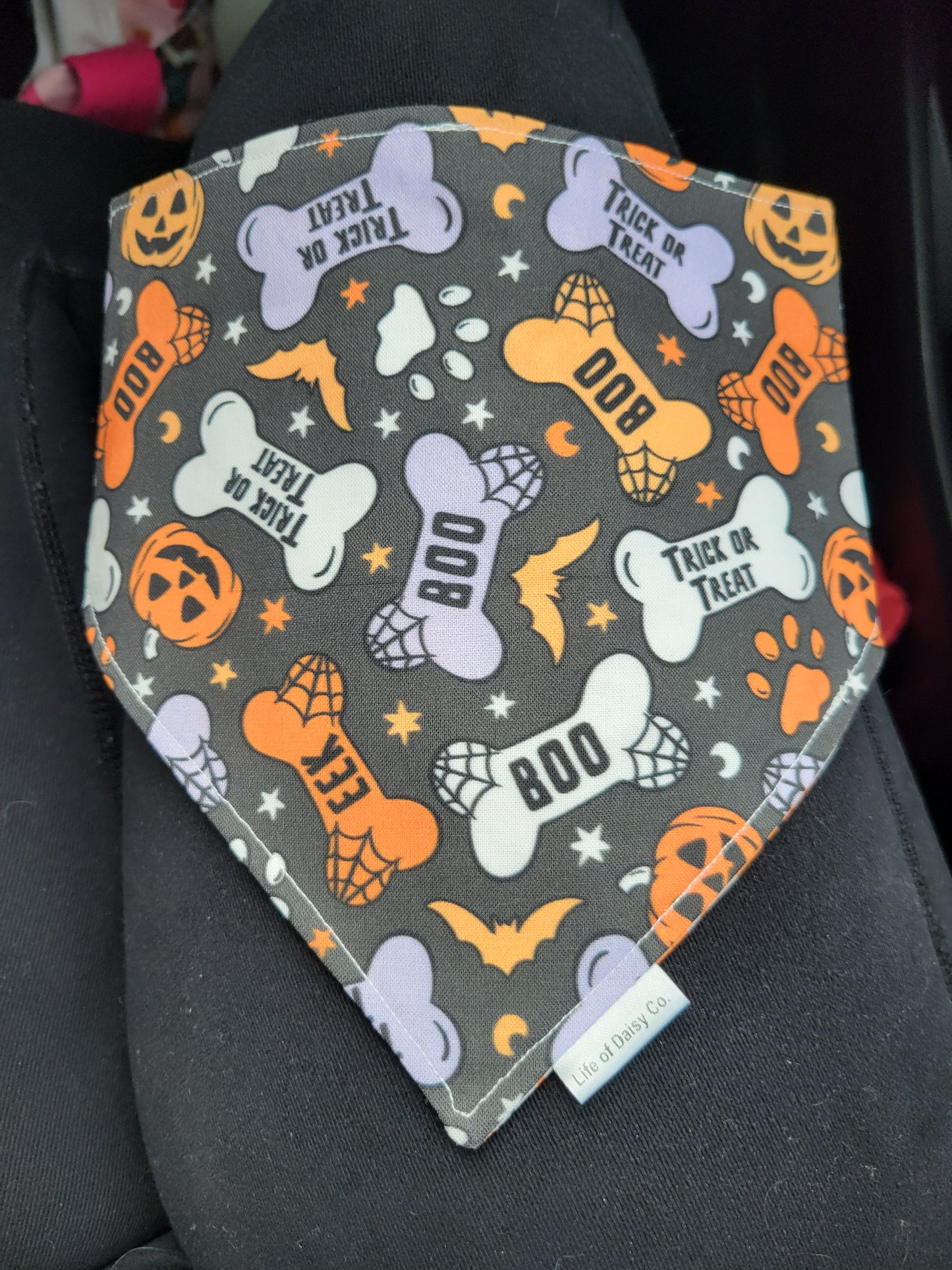 Tricks for Treats bandana