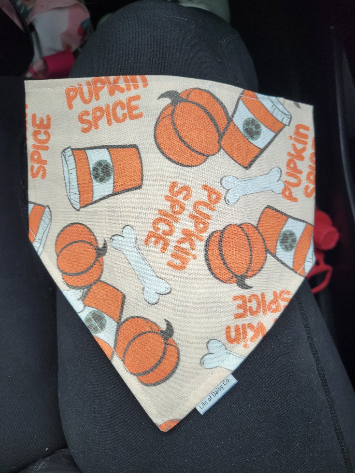 Pupkin Spice Latte bandana