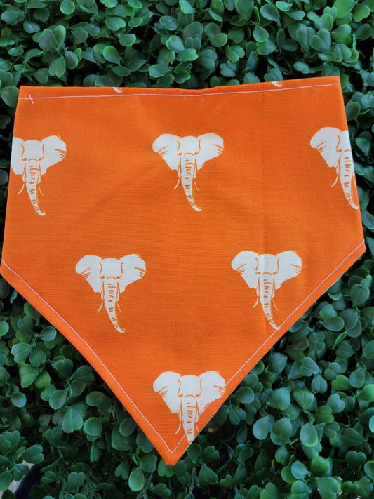 Elephant Safari bandana