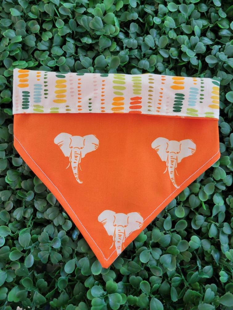 Elephant Safari bandana