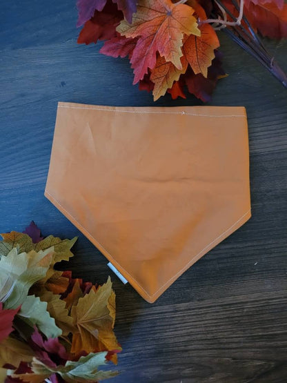 Football Season dog bandana