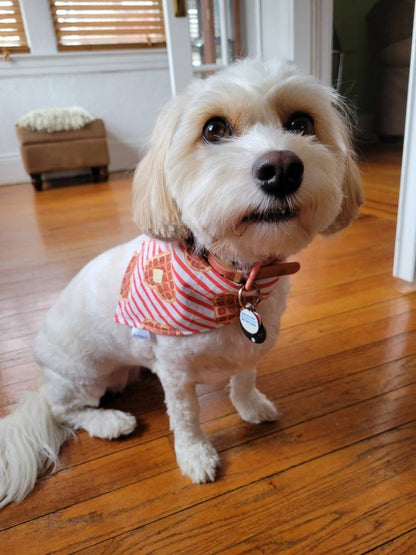 I Heart Waffles bandana