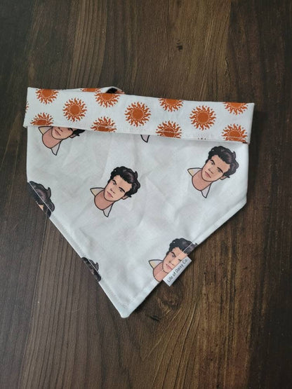 Harry Styles bandana