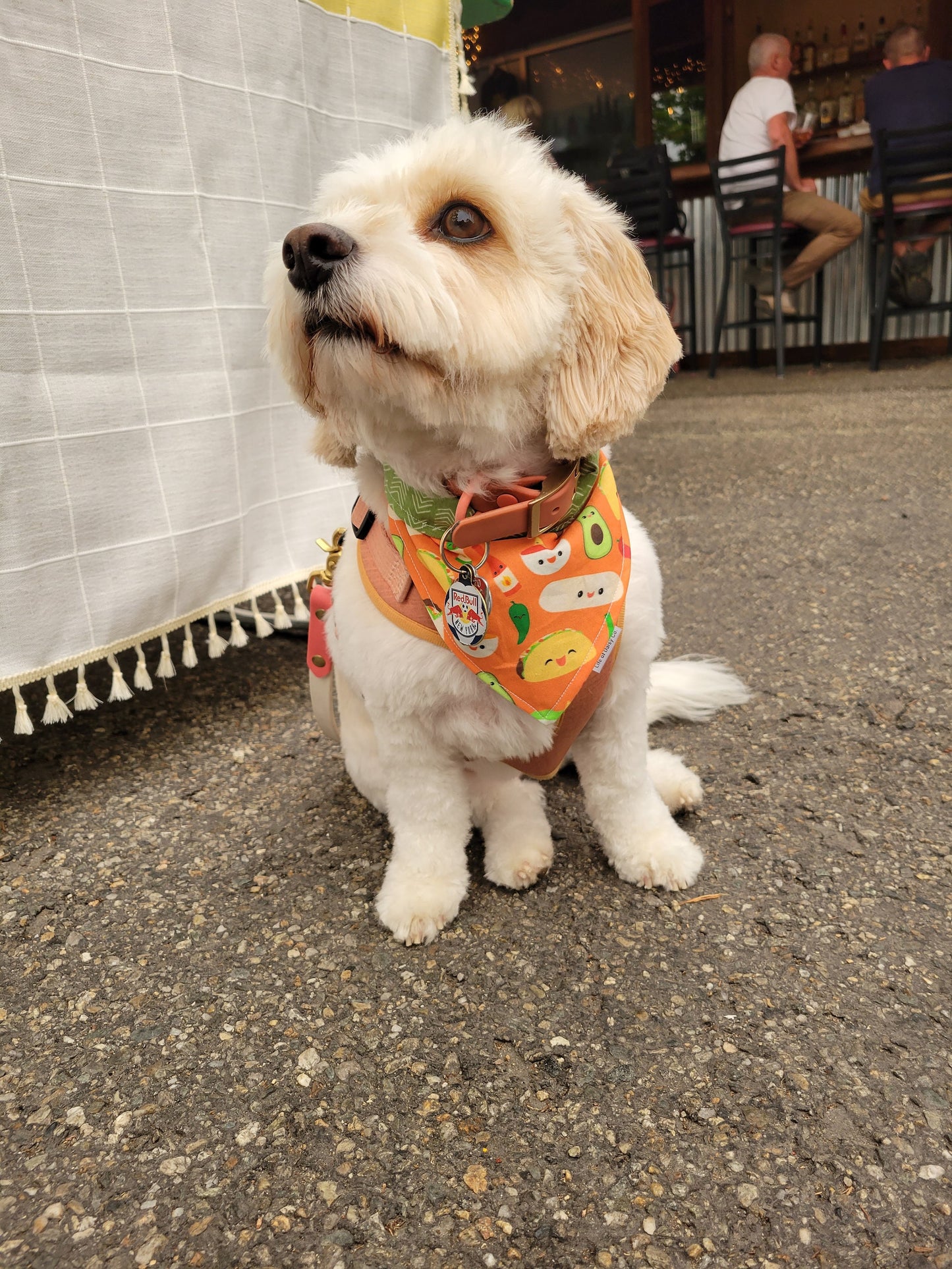 Tex Mex bandana